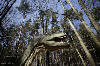 Gdansk. Nowo otwarty park dinozaurow w oliwskim zoo....
