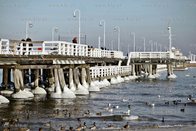Sopot. Zatoka Gdańska zaczyna zamarzać.
31.01.2012
fot....