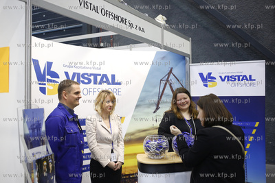 Amber Expo. Metropolitalne Targi Pracy Pomorza.
27.04.2016
fot....