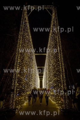Iluminacje w Parku Oliwskim 02.12.2018. Fot. Anna Rezulak...