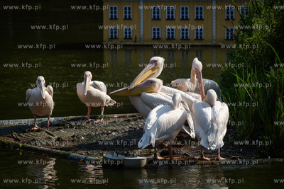 Wejherowo. Muzeum Piśmiennictwa i Muzyki Kaszubsko-Pomorskiej....