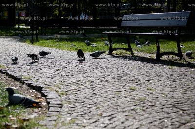 Park Kuzniczki  - zabytkowy, niewielki park w Gdansku...