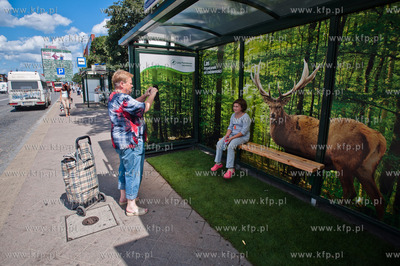 Gdansk. Wiata przystanku autobusowego Dworzec Glowny...
