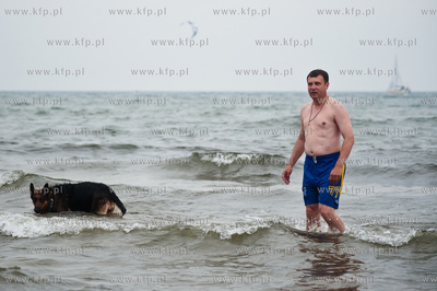 Sopocka plaza przyjazna dla zwierzat. Wprowadzona uchwala...