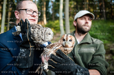 Gdansk. Oliwa. Lesniczowka Wroblowka. Wypuszczenie...