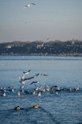 Gdansk. Mrozne, sloneczne, sobotnie popoludnie na plazy...