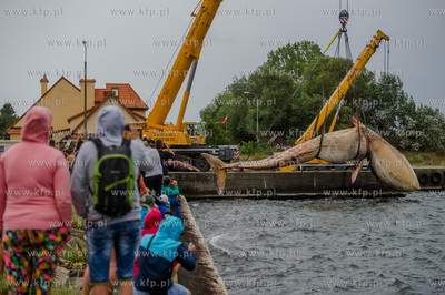 Port Wojenny na Helu. Akcja podnoszenia i transportu,...