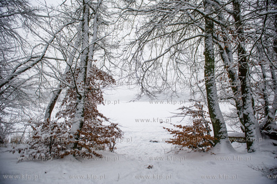 Sniezny zimowy dzien nad jeziorem Otominskim.
21.01.2016
fot....