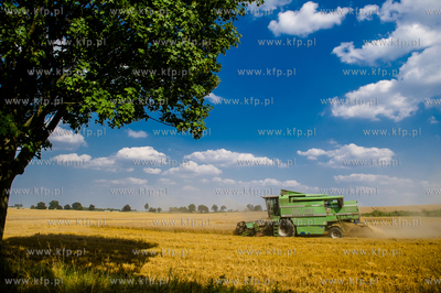 Powiat Koscierski. Kombajn podczas zniw. 
04.08.2015
fot....