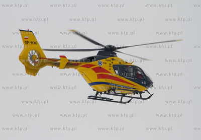 Gdansk, Rebiechowo. W dniu dzisiejszym przylecial nowy...