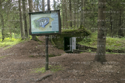 Fortyfikacje Trójkąta Lidzbarskiego ( niem. Heilsberg...