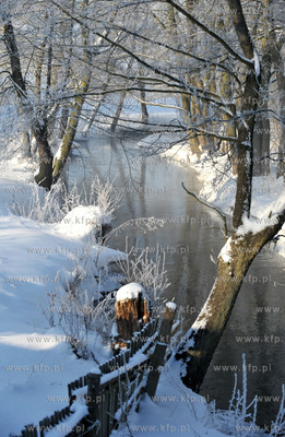 Zima nad Radunia w Niestepowie na Kaszubach
14.01.2010
fot....