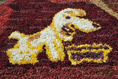 Zulawski Tulipan -  piata edycja imprezy zorganizowanej...