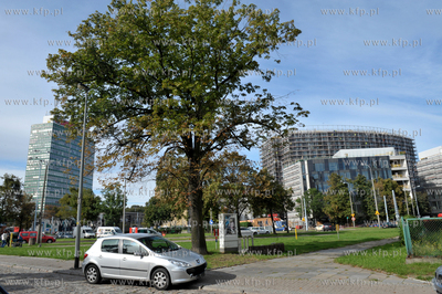 Gdansk. Zieleniak i budowany biurowiec Tryton od strony...
