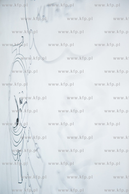 Otwarcie Biblioteki Manhattan w CH Manhattan.
Nz Bitwy...