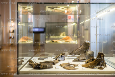 Muzeum Archeologiczne w Gdańsku. Konferencja prasowa...