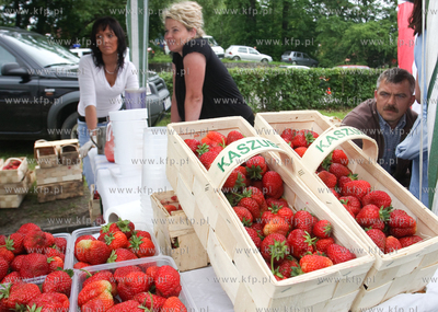 Zlota Gora k. Kartuz. Truskawkobranie to najwieksza...