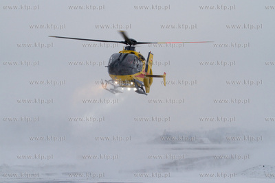 Gdansk, Rebiechowo. W dniu dzisiejszym przylecial nowy...