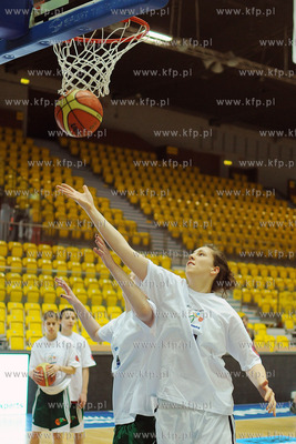 Hala Sportowo - Widowiskowa w Gdyni. All Star Game...