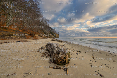 Gdynia. Klif w Orlowie. 06.01.2016 fot. Fot.Jan harb...