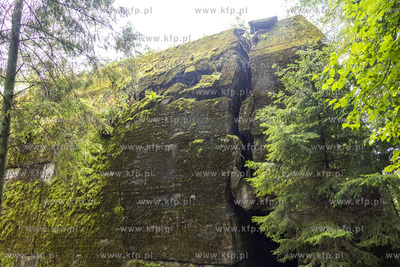 Hochwald (Wysoki las),  polowa Kwatera Heinricha Himmlera...