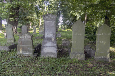 Największy w Polsce, wpisany w 1988 roku do rejestru...