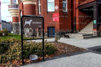 Budynek Urząd Stanu Cywilnego przy placu Marszałka...