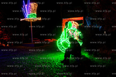 Przedpremierowy pokaz iluminacji w Lumina Park na terenie...