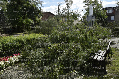 Skutki wichury na Pomorzu. Zniszczony park w miejscowości...