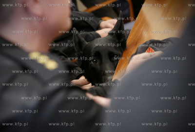 Gdansk. Urzad Miejski. Konferencja prasowa po powrocie...