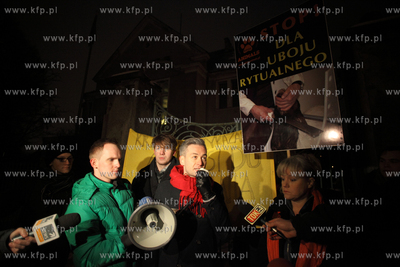 Manifestacja młodziezowki Ruchu Palikota, Partii Zieloni...