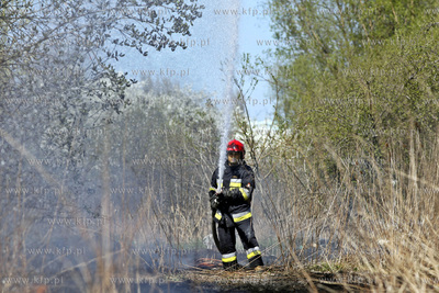 Pozar laki na wysokosci ul. Szklana Huta w Gdanskiej...
