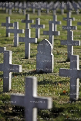Wojskowy cmentarz francuski w Gdansku.
31.10.2013
fot....