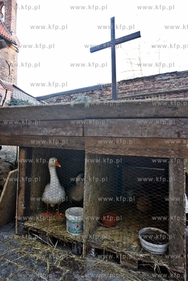 Kosciol sw. Trojcy w Gdansku. Zywa szopka.
27.12.2014
fot....