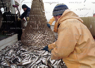 Kuter rybacki. Polow sledzia na Zatoce Gdanskiej. 21.11.2001...