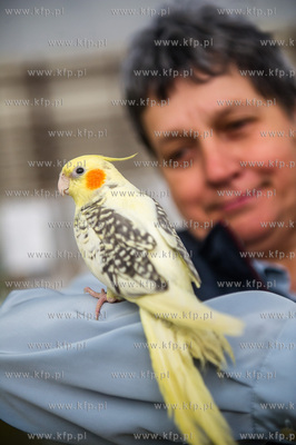 Zespol Szkol Rolniczych w Rusocinie. Wystawa Golebi...