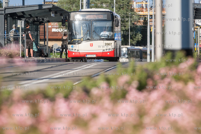 Gdańsk. Morena. Linia tramwajowa Piecki - Migowo.
18.07.2017
fot....