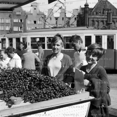Stragan warzywno  - owocowy na Targu Weglowym w Gdansku.
07.1967
0000845z_lipiec1967
Fot....