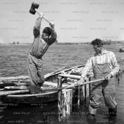 Wpijanie pali w dno rzeki. 
1963
0006443z_zulawy
Fot....