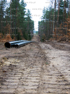 Budowa gazociagu Bytow - Slupsk. Nz. prace w okolicach...