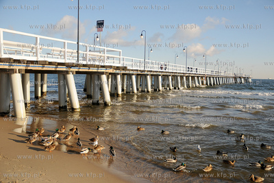 Gdynia. Zimowy spacer po Orlowie. 04.01.2009 fot. Andrzej...