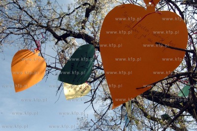 Mlodziez z roznych regionow Polski w miejscowosci Zagorzyczki...