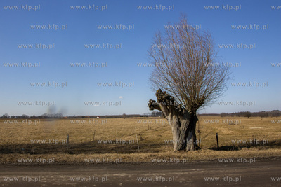 Pola wokol wsi Piaskowiec kolo Korsz. 
17.03.2018...