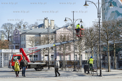 Sopot. Przycinanie drzew na Placu Przyjaciół Sopotu.18.02.2019...