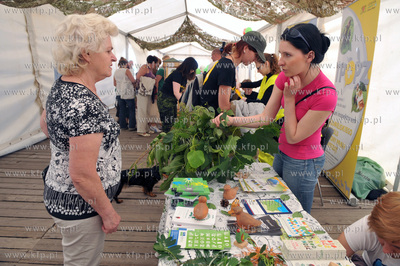 Sobota na molo w Gdansku Brzeznie. W ustawionym na...