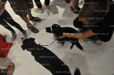 Wernisaz wystawy fotografii Piotra Poloczanskiego 2,28...