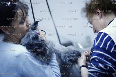 Gdansk Zaspa. Zaklad strzyzenia psow. Nz strzyzenie...