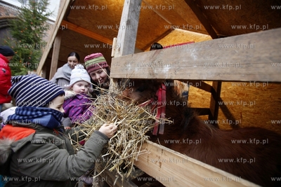 Kosciol sw. Trojcy w Gdansku. Zywa szopka.
28.12.2013
fot....