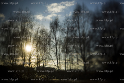 Park Ronalda Reagana.
20.01.2016
fot. Krzysztof Mystkowski...
