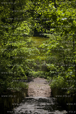 Sopot. Staw Nowowiejskiego, czyli tzw. Morskie Oko.
22.05.2017
fot....